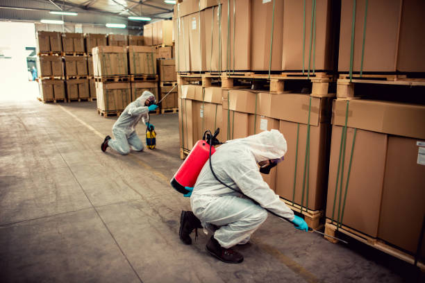 Best Pest Inspection Near Me  in Checotah, OK