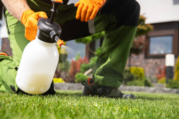 Wasp Removal Services in Checotah, OK