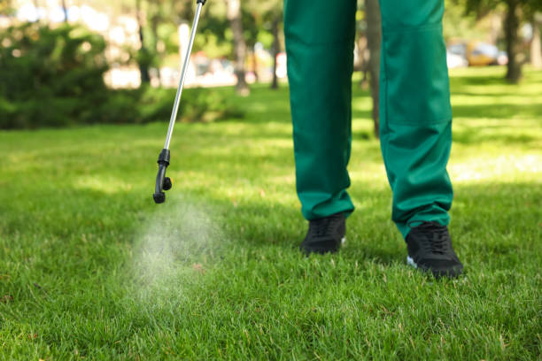 Best Local Pest Control Services  in Checotah, OK