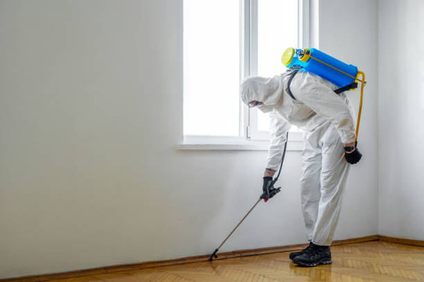 Best Rat Extermination Near Me  in Checotah, OK