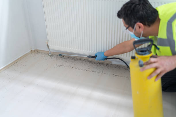 Best Mosquito Control Services  in Checotah, OK