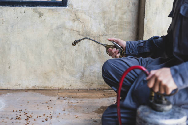 Best Residential Pest Control  in Checotah, OK