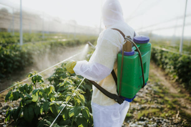 Pest Prevention Services in Checotah, OK